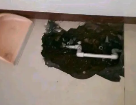 远安卫生间测漏水多少钱